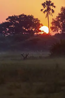 World Natural Heritage Botswana Drucke: Sunset over the Okavango Delta