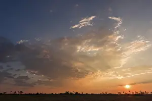 Evening Light In Africa Drucke: Sunset over the Okavango Delta