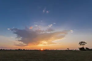 Okavango Delta Drucke: Sunset over the Okavango Delta