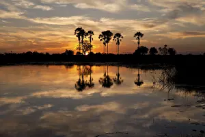 World Natural Heritage Landscape Drucke: Sunset over the Okavango Delta in Botswana