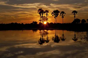 Drucke von Sonnenuntergang über dem Okavango-Delta in Botswana Verwandte Bilder Drucke: Sonnenuntergang über dem Okavango-Delta in Botswana.