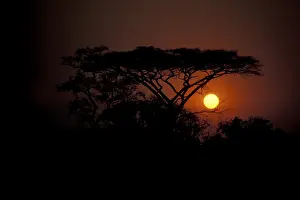 Botswana Sunset Drucke: Sunset Okovango Delta Botswana