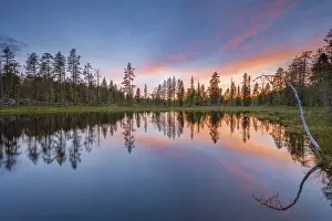 Water Body Reflections Drucke: Sunset, orange clouds and trees reflected in the lake