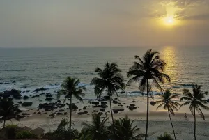 Palm Tree Landscape Drucke: Sunset with palm trees on the beach