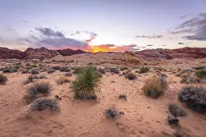 Barren Desert Landscapes Drucke: Sunset behind red sandstone rocks