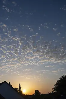 Cloudy European Landscape Drucke: Sunset with small clouds in the evening sky