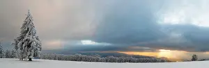 Evening Light In The Black Forest Drucke: Sunset after a snowfall on the Kandel