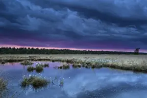 Swamp Landscape Photography Drucke: Sunset during storm over swamp
