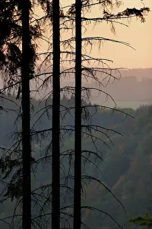 Evening Light In Central Europe Drucke: Sunset in the Thuringian Slate Mountains
