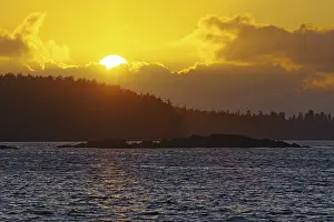 Pristine Nature Reserve Drucke: Sunset over Tofino, pristine forest