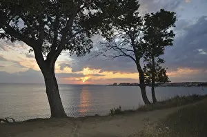 Mediterranean Sunset Drucke: Sunset, tree, trees, two, evening