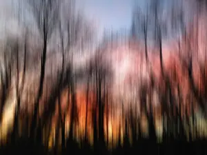 Evening Backlight Shot Drucke: Sunset, trees, abstract, wipe effect, Germany