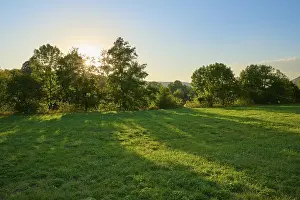 Evening Light In Bavaria Drucke: Sunset behind trees on a green meadow