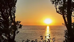 Atlantic Coast Sunset Drucke: Sunset behind trees by the sea