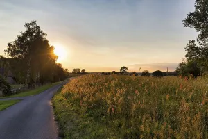 Evening Sun In Germany Drucke: Sunset behind trees, sun rays, Elbe cycle path