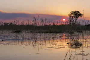 Okavango Delta Sunset Drucke: Sunset over the waterscape of the Okavango Delta