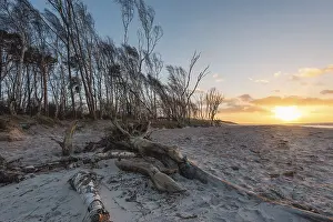 Atmospheric Light Of The Evening Sun Drucke: Sunset on the West Beach, Prerow