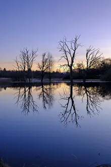 Bavarian Sunset Drucke: Sunset at the wet meadows, pond