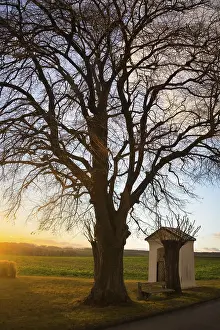 Atmospheric Evening Light Scene Drucke: Sunset over wheat field with path and chapel