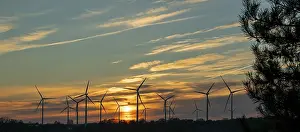 Eco Friendly Energy Supply Drucke: Sunset, wind turbines, sunset, tree