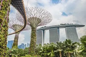 Southeast Asia Botanical Garden Drucke: Supertrees, bridge between trees