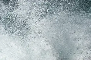 Deserted Sea Drucke: Surf, spray