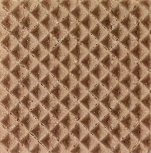 German Pastry Drucke: Surface of a baked waffle, waffle structure