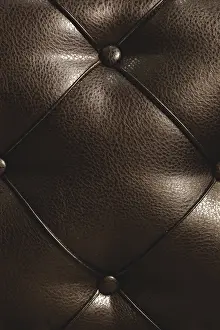 Rhombic Split Skin Drucke: Surface of a rhombic split skin with buttons on the back of the bed