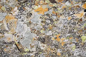 Rock Surface Texture Drucke: Surface of a stone - structure