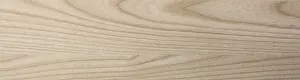 Wood Background Drucke: Surface of wood background with natural pattern