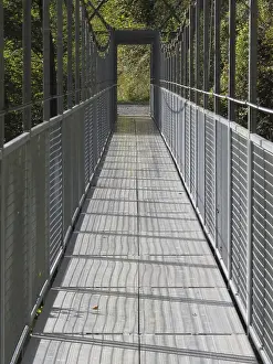 Central Europe Deserted Bridge Drucke: Suspension Bridge