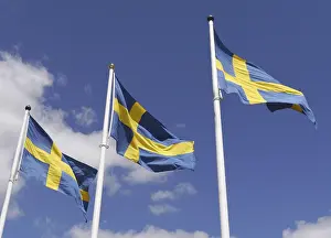 Scandinavian Flag Drucke: Swedish flag