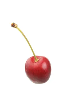 Single Object Still Life Drucke: Sweet cherry