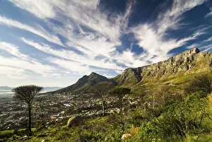 African Rock Formations Drucke: Table Mountain and Devil's Peak