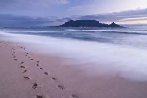 Western Cape Landscape Photography Drucke: Table Mountain, Lion's Head and Devil's Peak in the evening light