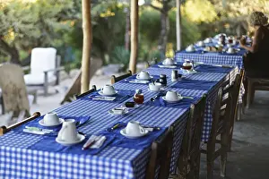 Tropical Holiday Resort Drucke: Table with empty plates and coffee cups