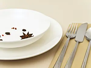 Spicy Food Nutrition Facts Drucke: Table Serving With Anise Stars
