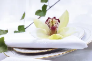 Indoor Plant Photography Drucke: Table setting decorated with an orchid