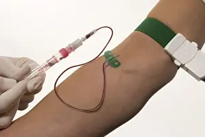 Blood Draw Process Drucke: Taking blood