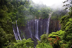 East Java Landscape Drucke: A tall waterfall flows over a cliff in the middle of a thick