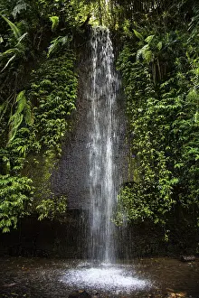 Bali Waterfall Drucke: A tall waterfall surrounded by thick
