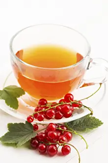 Healthy Hot Beverage Drucke: Tea in cup and fresh red currant