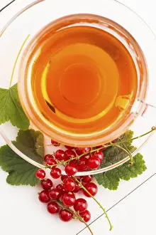 Red Currant Tea Drucke: Tea in cup and fresh red currant