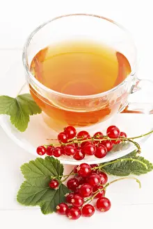 Red Currant Tea Drucke: Tea in cup and fresh red currant