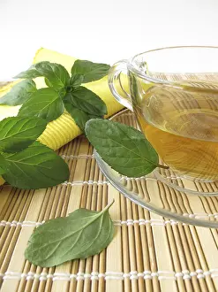 Medicinal Plant Uses Drucke: Tea with lemon and mint