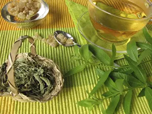Deserted Tea Scene Drucke: Tea with lemon verbena