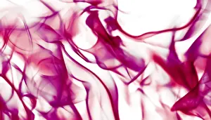 Abstract Wave Background Drucke: Technology, science and artistic flow concept - Abstract wave background