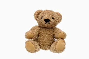 Teddy Bear Drucke: Teddy bear