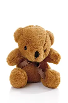 Teddy Bear Drucke: Teddy bear