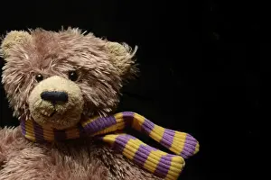 Childhood Toy Image Drucke: Teddy bear, Teddy